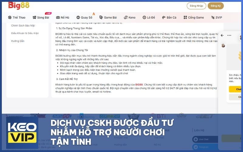 dich vu cskh duoc dau tu - BIG88 - Nhà cái uy tín với tỷ lệ kèo chính xác hôm nay
