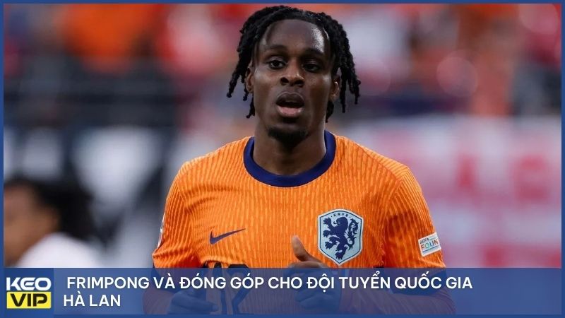 Đóng góp cho đội tuyển quốc gia Hà Lan