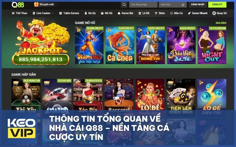 Thông tin tổng quan về nhà cái Q88 – Nền tảng cá cược uy tín