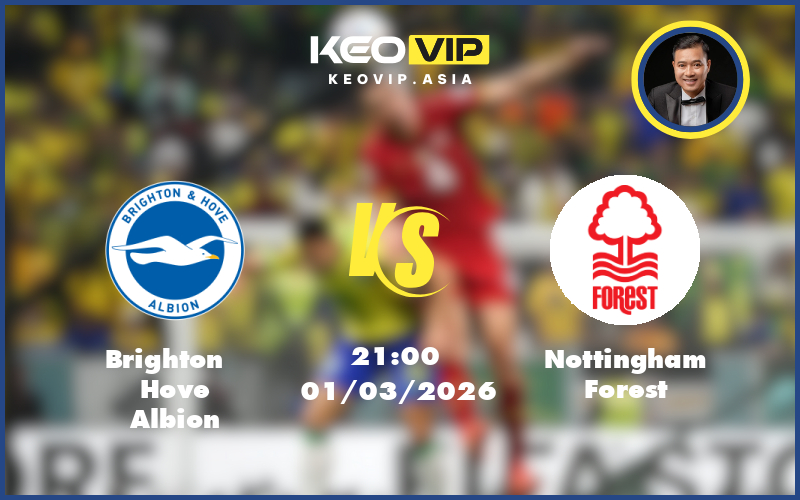 brighton hove albion nottingham forest 01 03 ngoai hang anh - Nhận định soi kèo Brighton Hove Albion gặp Nottingham Forest 21:00 ngày 01/03/2026 tại Ngoại hạng Anh