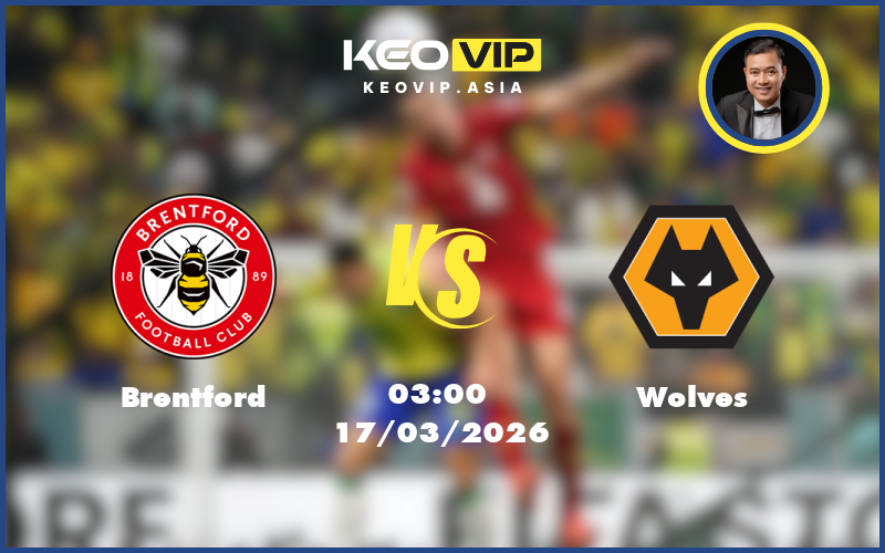 brentford wolves 17 03 ngoai hang anh - Nhận định soi kèo Brentford gặp Wolves 03:00 ngày 17/03/2026 tại Ngoại hạng Anh