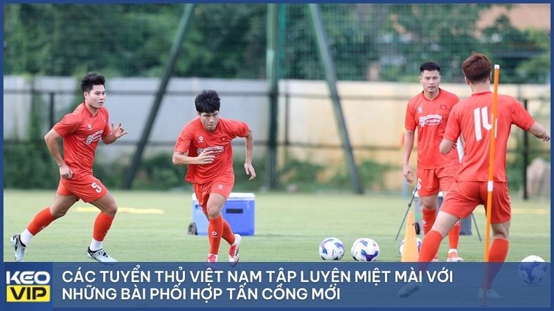 Các tuyển thủ Việt Nam tập luyện miệt mài với những bài phối hợp tấn công mới