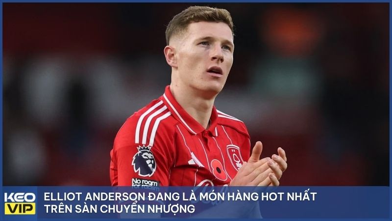Elliot Anderson đang là món hàng hot nhất trên sàn chuyển nhượng