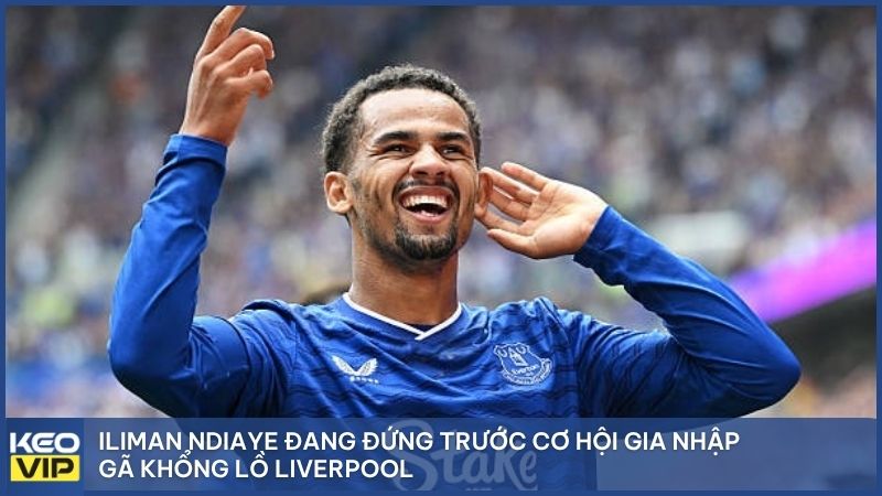 Iliman Ndiaye đang đứng trước cơ hội gia nhập gã khổng lồ Liverpool