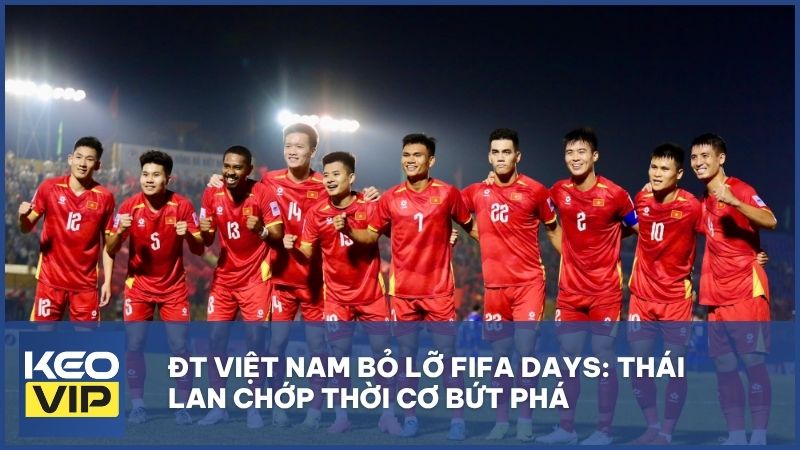 ĐT Việt Nam bỏ lỡ FIFA Days