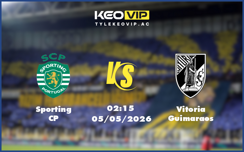 sporting cp vitoria guimaraes 05 05 vdqg bo dao nha - Nhận định soi kèo Sporting CP gặp Vitoria Guimaraes 02:15 ngày 05/05/2026 VĐQG Bồ Đào Nha